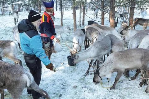 8 daagse excursiereis Inari Wilderness Week foto 4