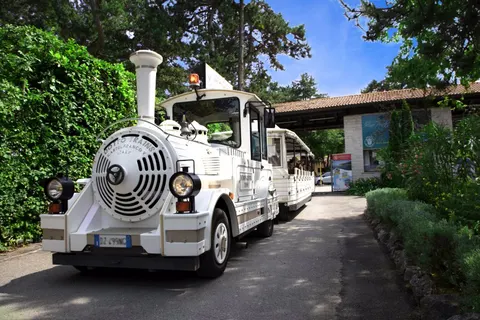 Camping Mare Pineta foto 5