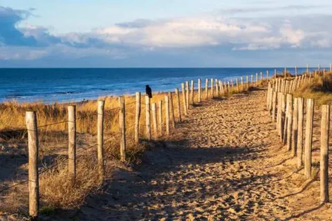 Hotel De Boei foto 20