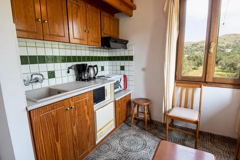 Appartementen Lela Kaptani Eftalou Olive Grove foto 11