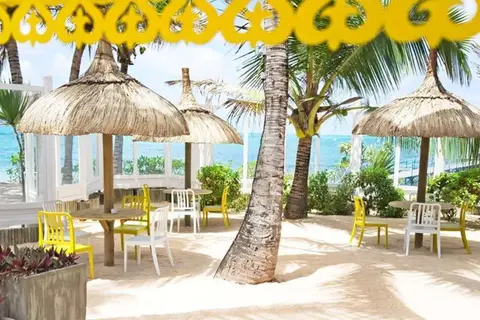 Tropical Attitude in Trou d’Eau Douce VCA — foto 17