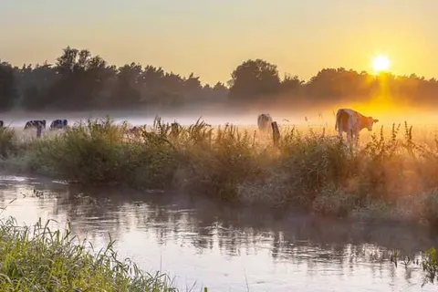 Hofparken De Bergvennen foto 11
