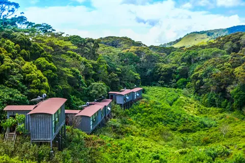 Rainforest Eco Lodge in Rainforest Ecolodge — foto 25