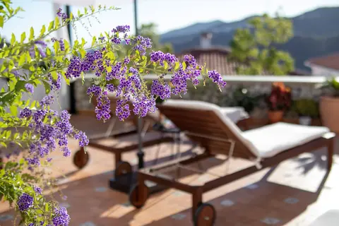 Malaga Hills Boutique & Wellness Eco-Hotel in Canillas de Albaida — foto 18
