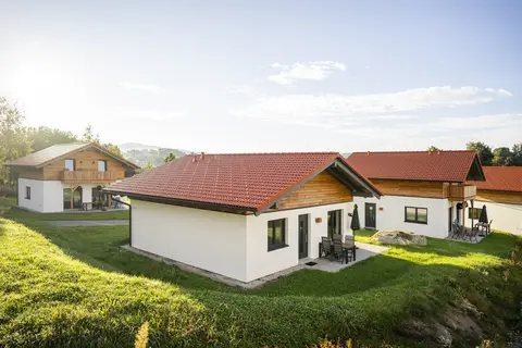 Vakantiepark Arber in Zwiesel, foto 11