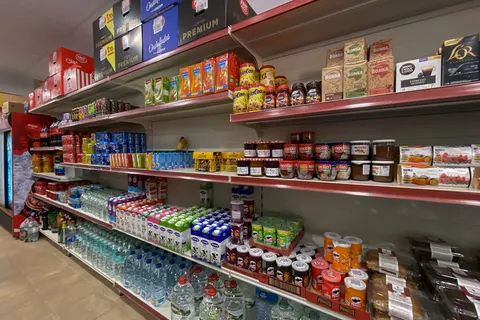 Taïga Bassegoda Park foto 20