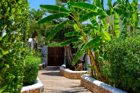 Villa S'Argamassa foto 15