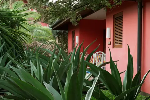 Morena Resort foto 4