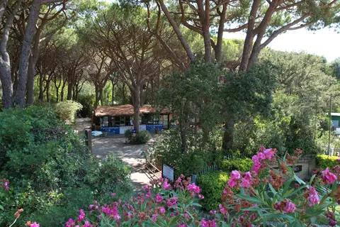 Village Maremma Sans Souci in Castiglione della Pescaia — foto 32