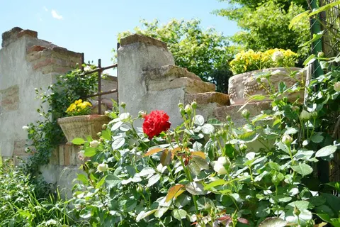 Le Terre dei Cavalieri Hotel foto 14