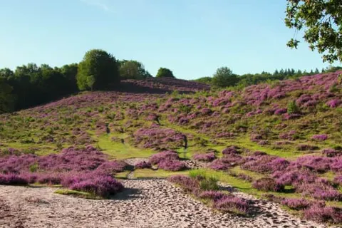 Landgoedhotel Villa Vennendal foto 53