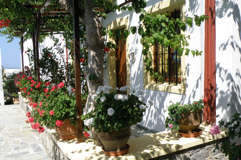 Appartementen Villa Diktynna foto 7