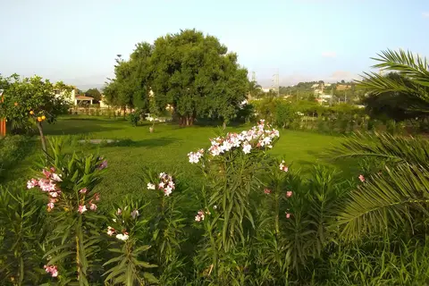 Villa Teti in Campofelice di Roccella, foto 11