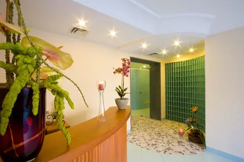 Park Hotel Terme Mediterraneo in Forio, foto 29