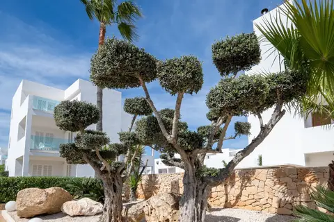MarSenses Ferrera Blanca Hotel in Cala Ferrera — foto 8