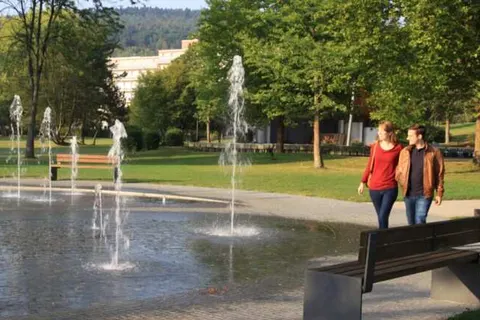 Hotel Birkenhof (Bad Soden-Salmünster) foto 33
