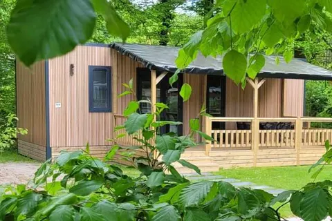 Boscamping Appelscha foto 3