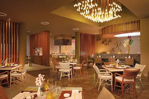 Dreams Royal Beach Punta Cana in Punta Cana, foto 15