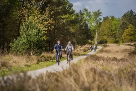 Vakantiepark De Rimboe en De Woeste Hoogte foto 25