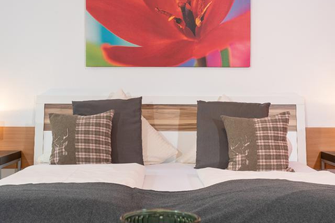 Zillertal Appartements foto 7