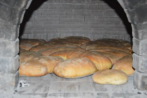 Agriturismo Il Vecchio Casale in Perdifumo — foto 23