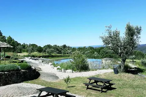 Quinta Vale Porcacho in Tábua — foto 22