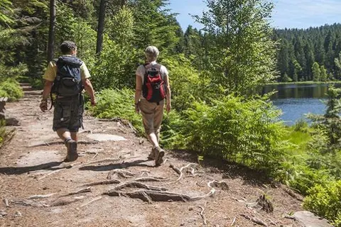 Domaine Moulin d&ampapos;Hotton foto 5