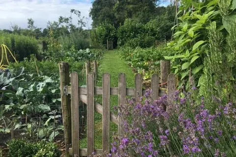 In de Tuin van Dorth foto 9