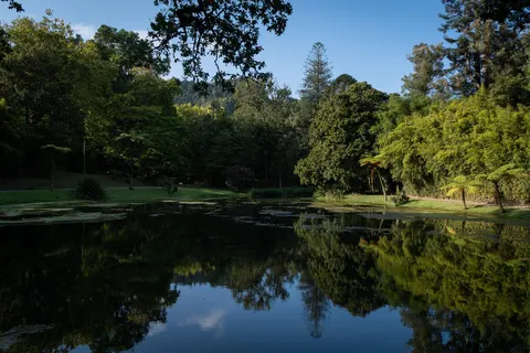 Cantos Green Garden in Povoação — foto 8