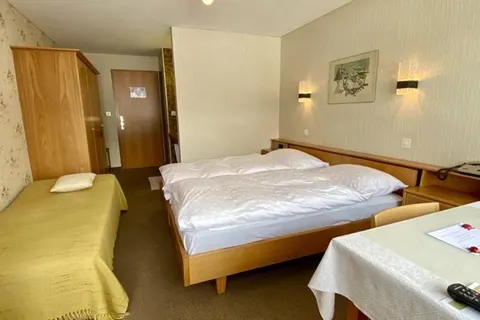 Hotel Alpina Parpan foto 14