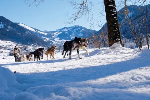 Hotel Eliova l'Eau Vive foto 16