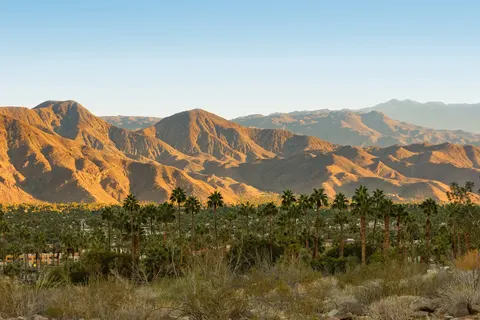 West Coast Insider foto 11