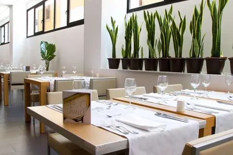 Alegria Palacio Mojacar Spa in Mojácar — foto 5