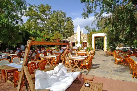Okaliptus Otel in Bodrum — foto 24