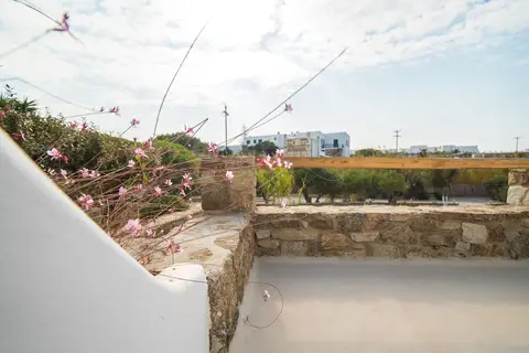 Vienoula's Garden in Τούρλος — foto 24