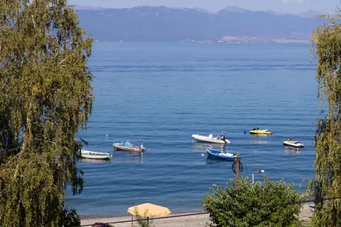 Villa Nika - Pestani in Pestani — foto 6