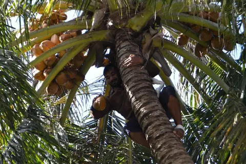 Sheraton Maldives Full Moon Resort & Spa in Furan-Nafushi — foto 23