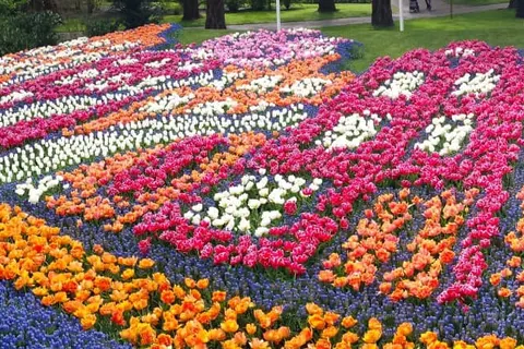 Van der Valk Hotel Den Haag - Wassenaar foto 30