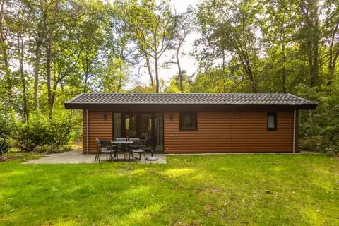 Vakantiepark De Wiltzangh in Ruinen — foto 13