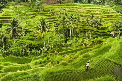 A Balinese Escape foto 1