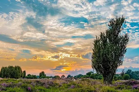 Vakantiepark Westerbergen in Echten — foto 49