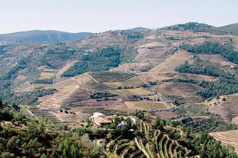 Hotel Quinta do Silval in Alijó, foto 2