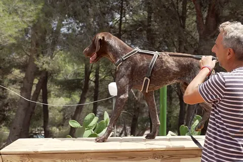 Camping La Scogliera foto 7