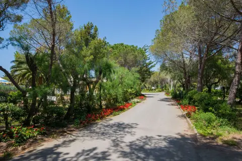 Toscana Bella Camping Village in Rosignano Marittimo — foto 19