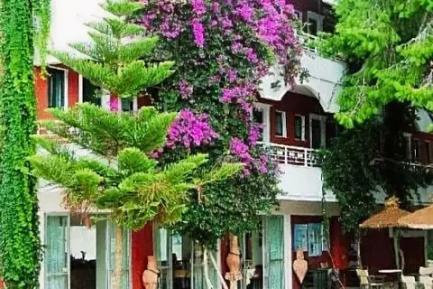 Hotel Vasilikos Beach in Δημοτική Ενότητα Ζακυνθίων — foto 23