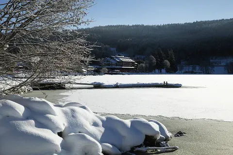 Kerst in het Zwarte Woud, Endingen foto 14