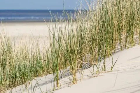 Strandhotel Golfzang foto 23