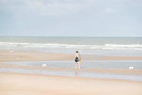 Center Parcs Park de Haan foto 27