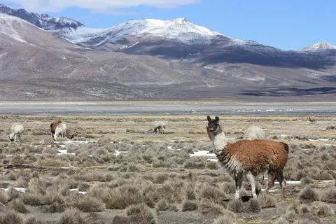 18-daagse rondreis Mystiek Peru foto 4