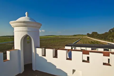 Torre de Palma Wine Hotel in Monforte — foto 2